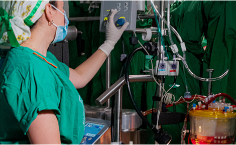 Perfusión y Circulación Extracorpórea