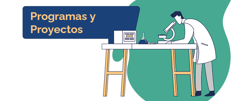 Imagen decorativa Contando lo que investigamos Contando lo que investigamos