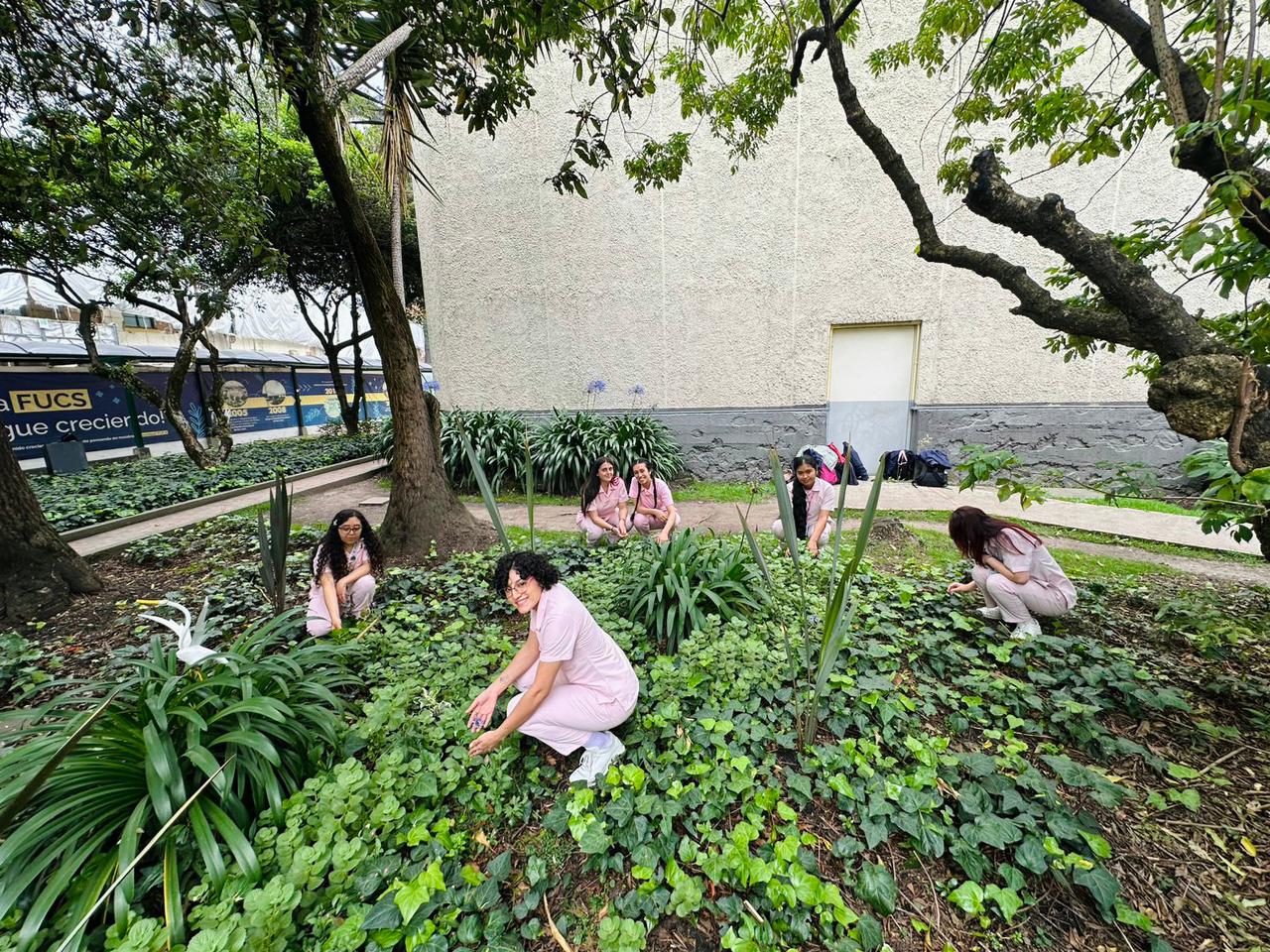 proyecto de jardines terapéuticos